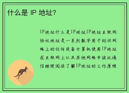 什么是 IP 地址?